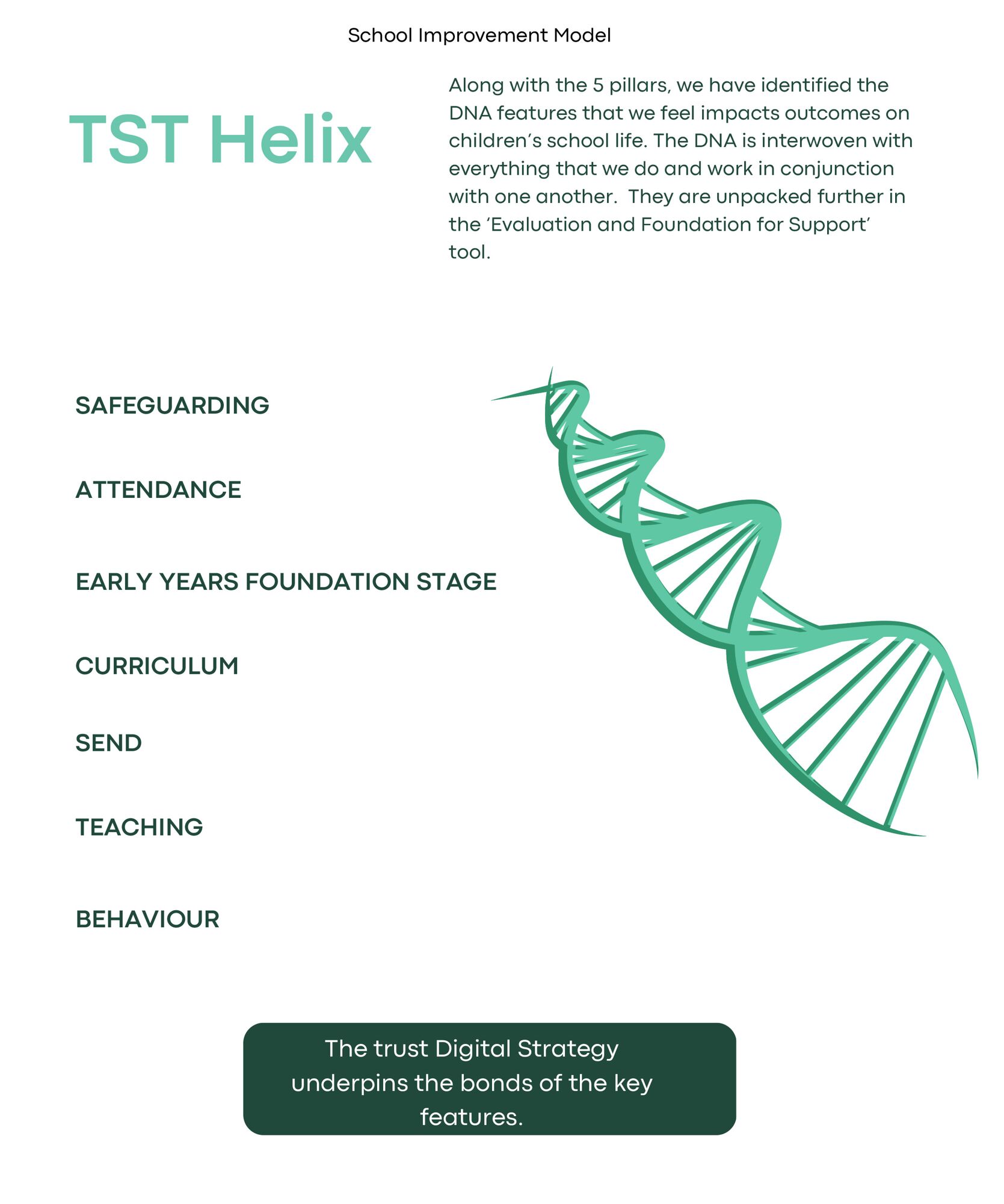 School Improvement Model TST Helix